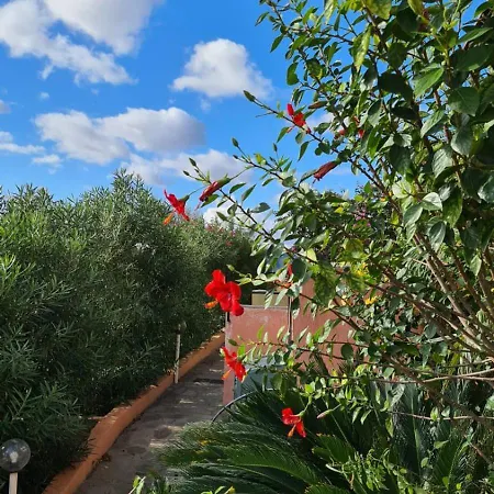 Into The Blue Holiday